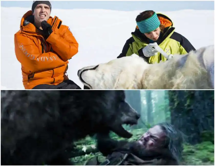 checco zalone leonardo dicaprio the revenant quo vado