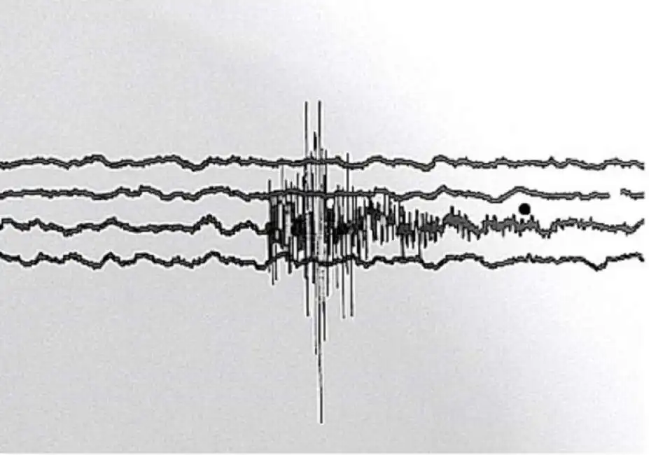 scossa terremoto centro italia