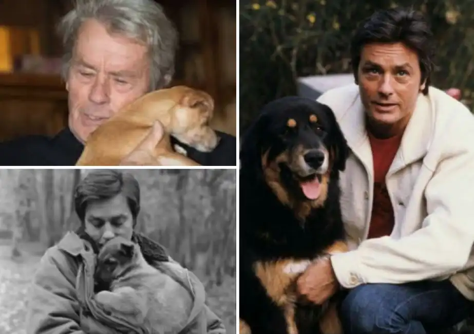 alain delon