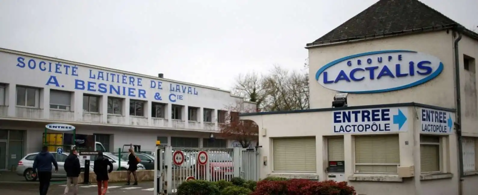 lactalis