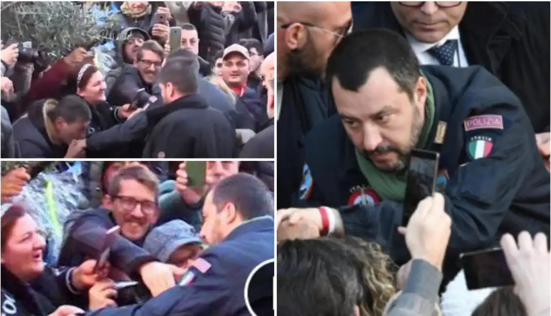 salvini