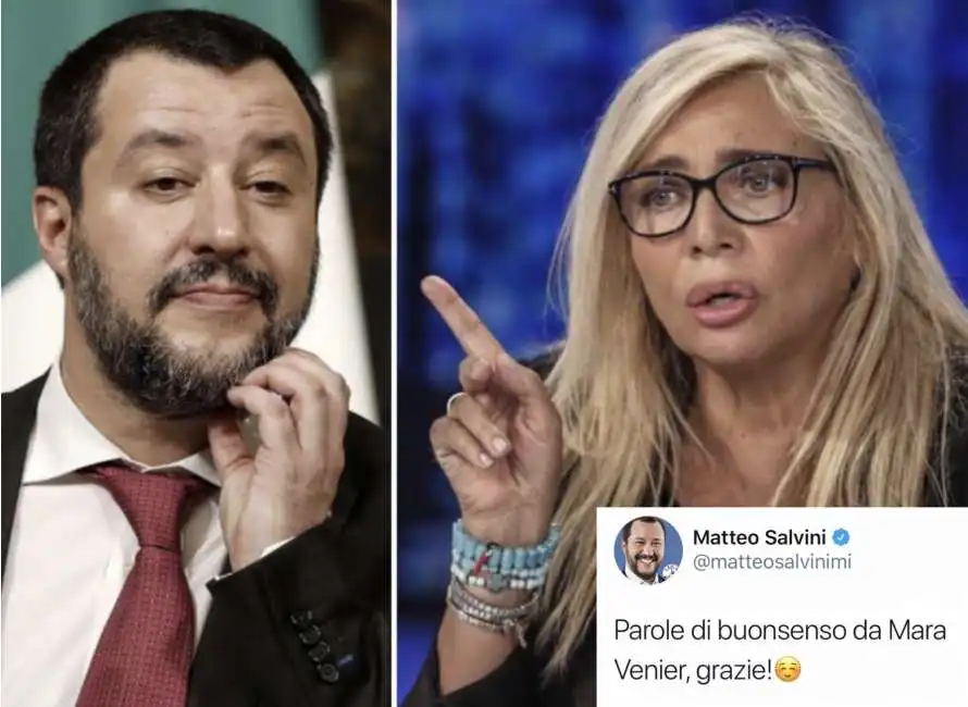 salvini venier