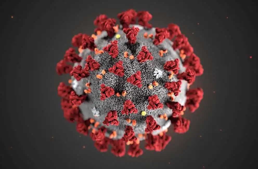 coronavirus