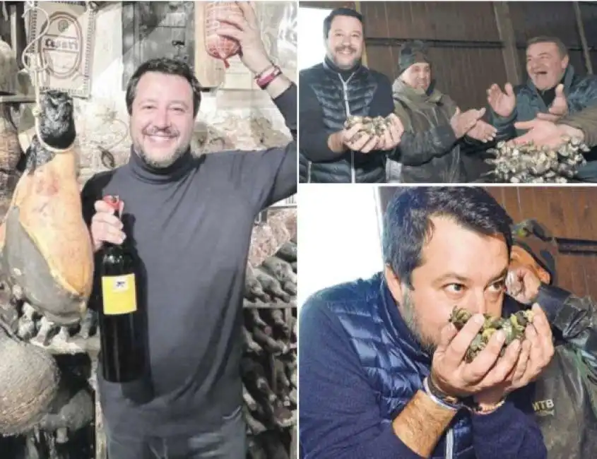 matteo salvini 