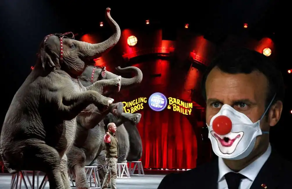 circo macron