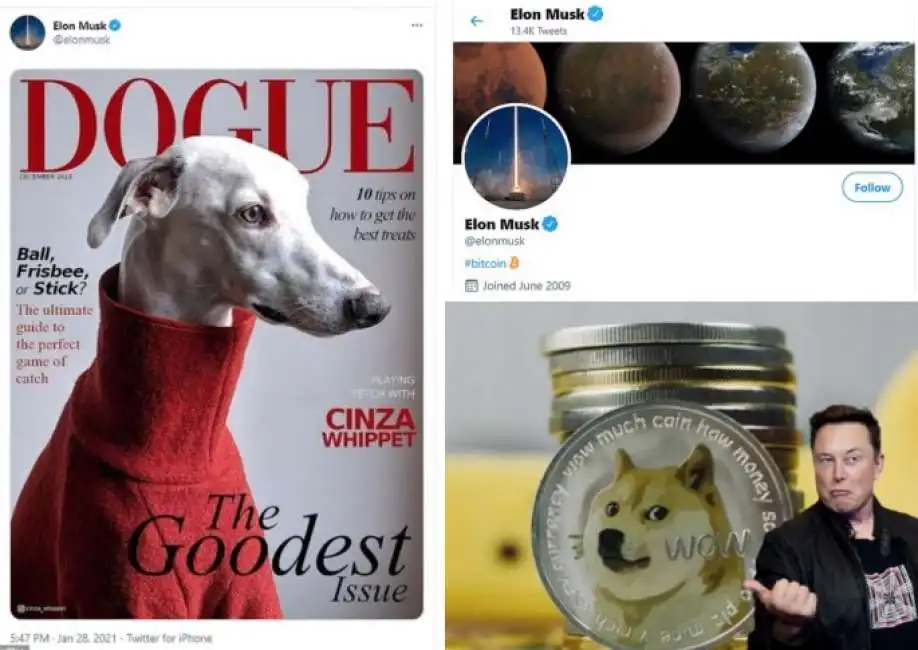 elon musk dogecoin bitcoin