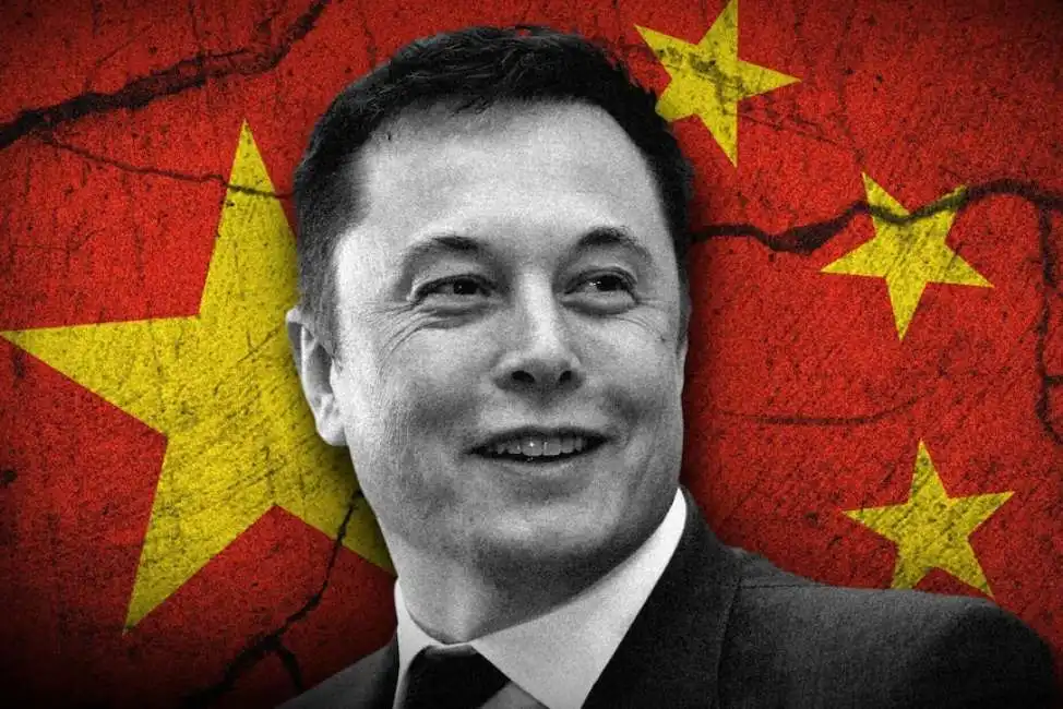 elon musk cina