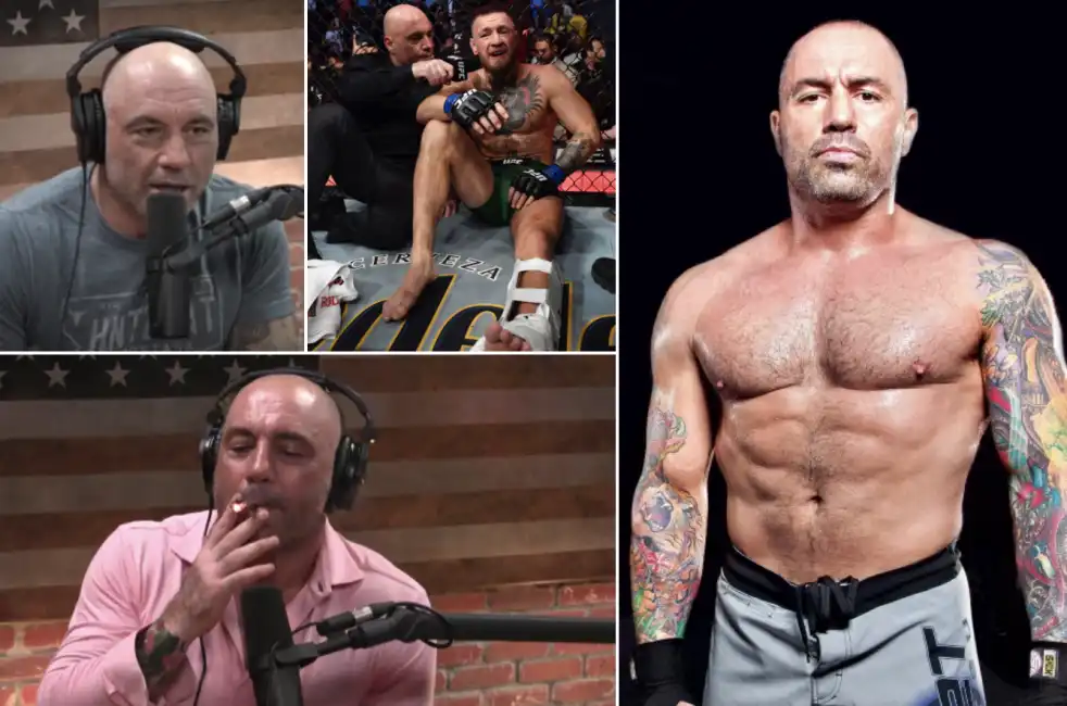 joe rogan