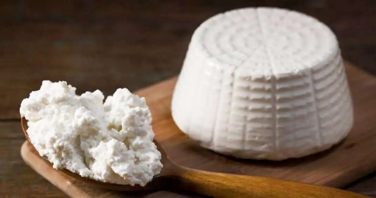 ricotta