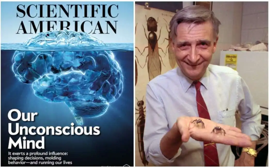 scientific american edward o. wilson