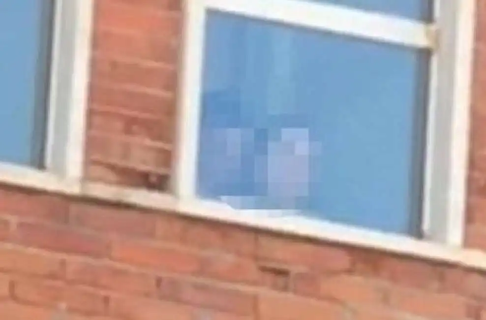 sesso nei bagni a scuola a livorno - un frame del video