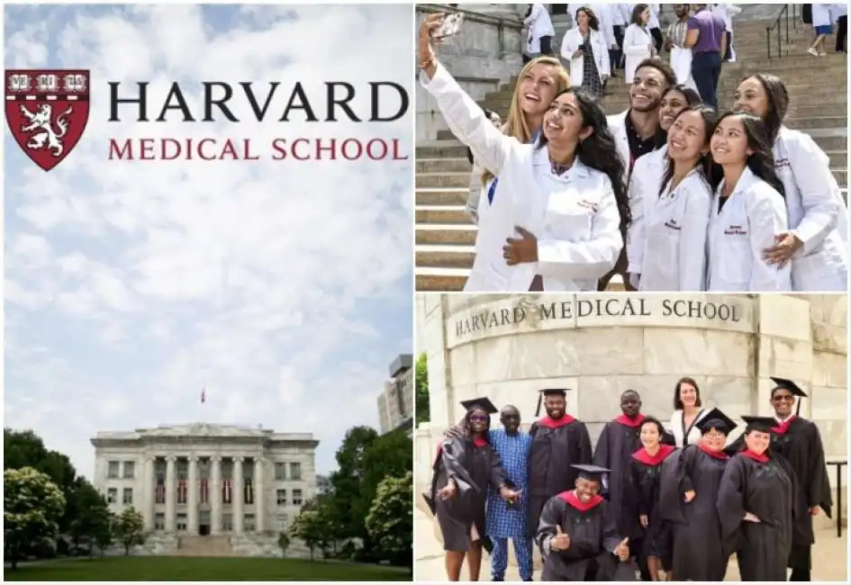 harvard medical school 