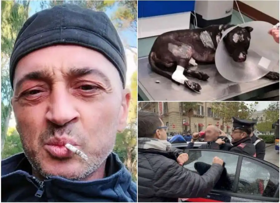 carmelo russo da fuoco al suo cane pitbull aron a palermo