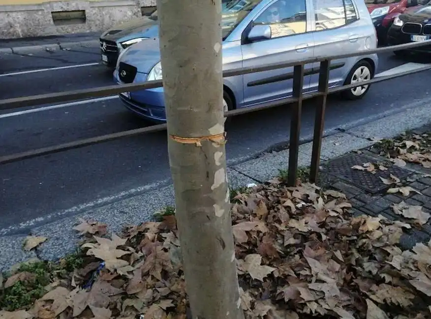 cavo di acciaio teso per strada a milano 