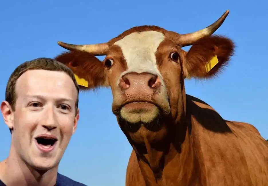 mark zuckerberg mucca 