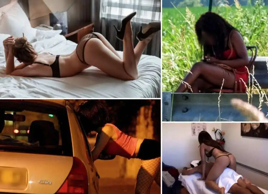 prostituzione prostitute escort mignotte