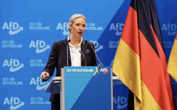 alice weidel afd