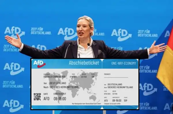 alice weidel afd