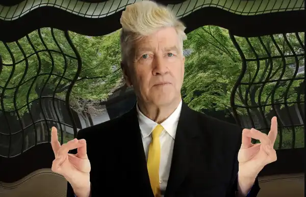 david lynch meditazione