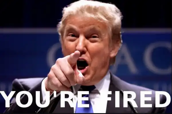 donald trump the apprentice fired