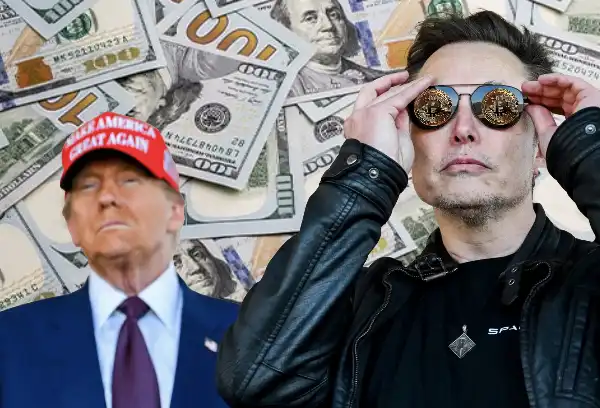 elon musk donald trump bitcoin dollaro 