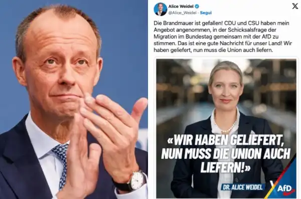 friedrich merz alice weidel 