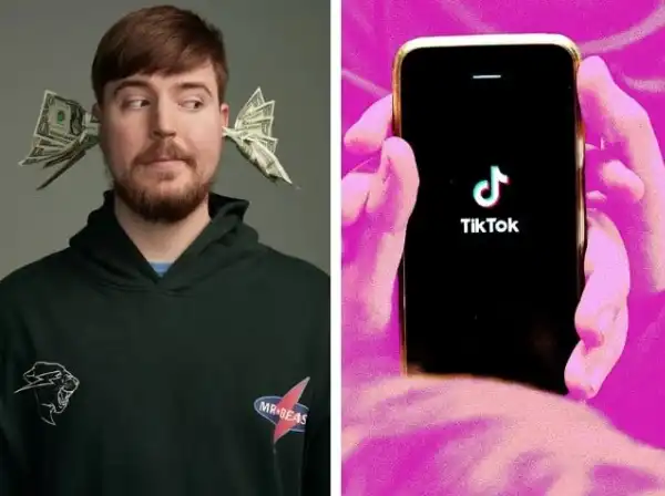 mr. beast tiktok 