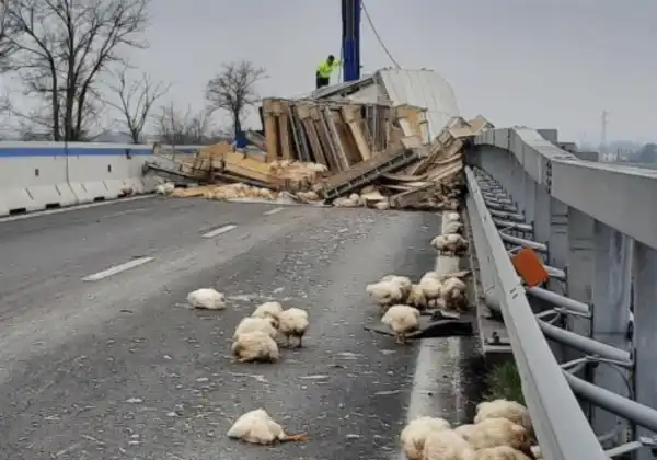 polli in strada statale tiberina ravenna camion ribaltato