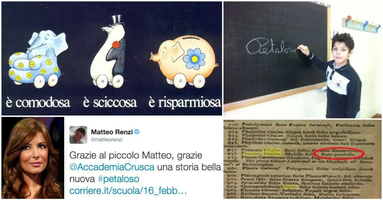 renzi matteo petaloso