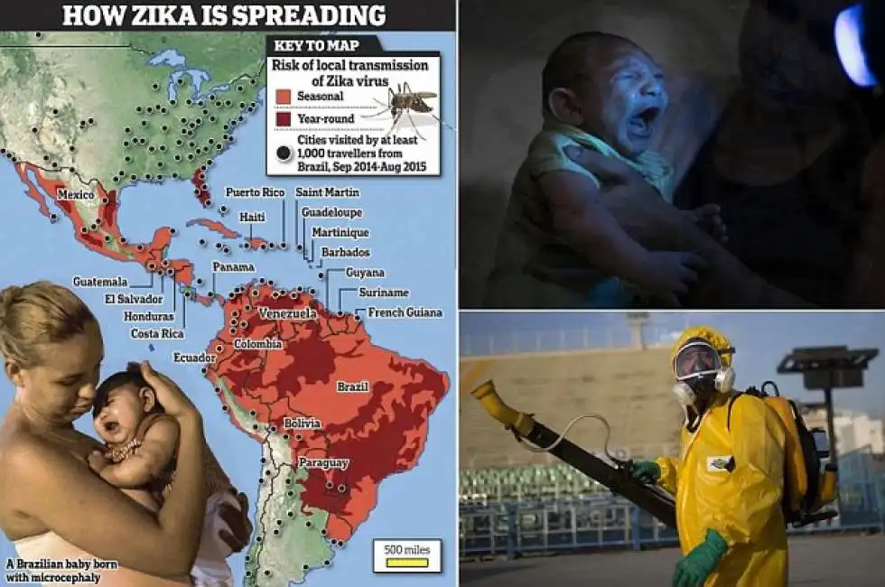 zika 