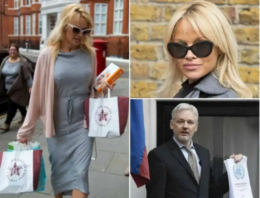 pamela anderson assange