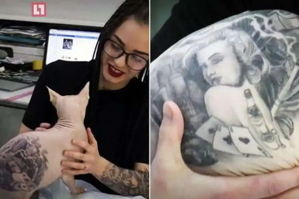 tatuaggio gatto sphynx