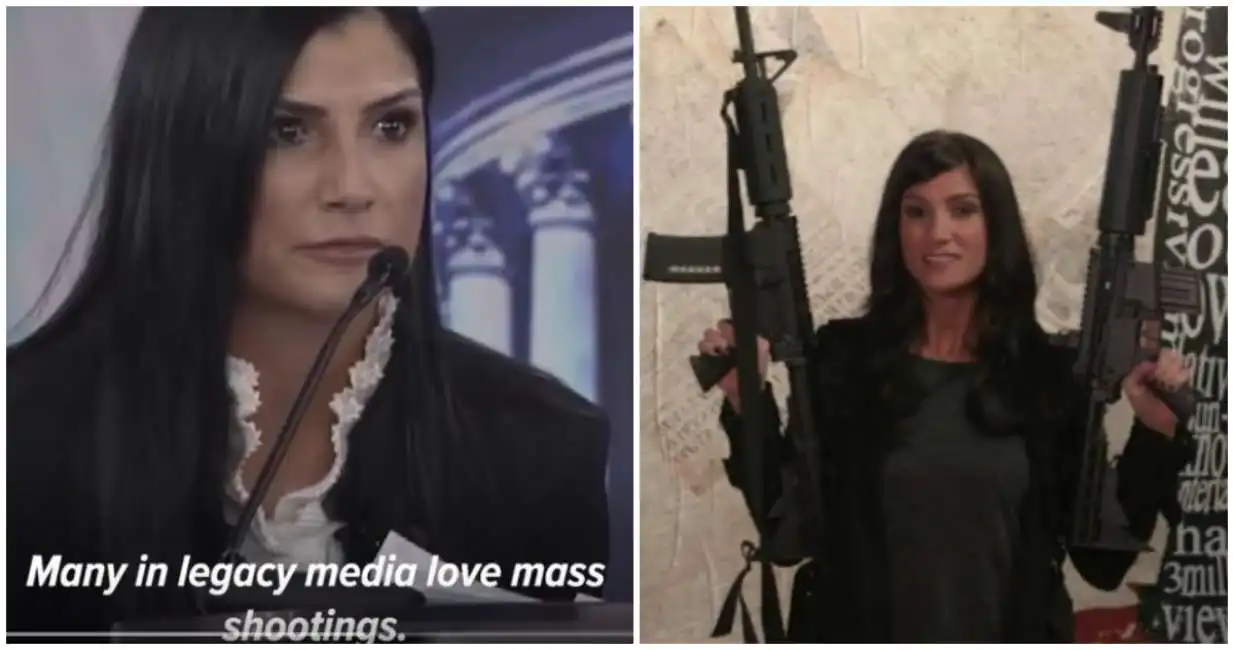 dana loesch (1)