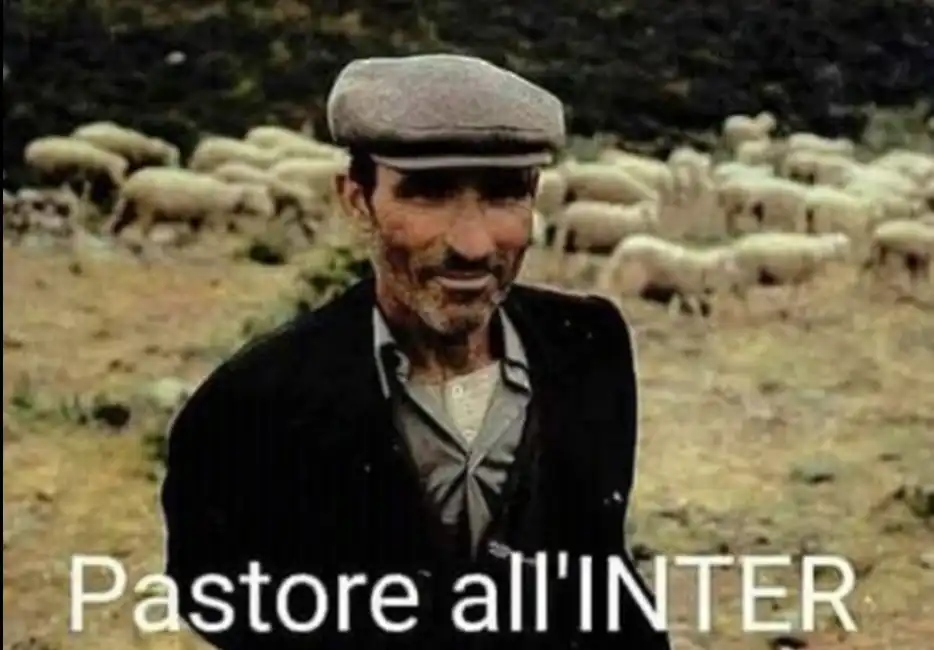 pastore meme