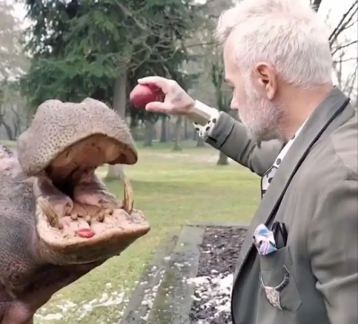 gianluca vacchi e l ippopotamo