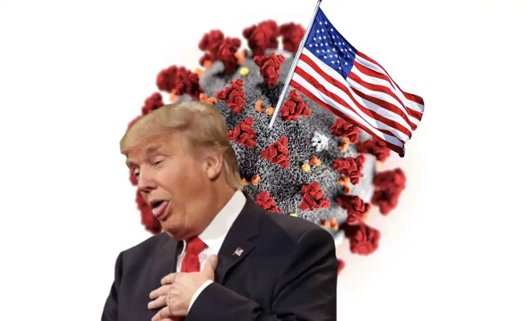 donald trump coronavirus usa