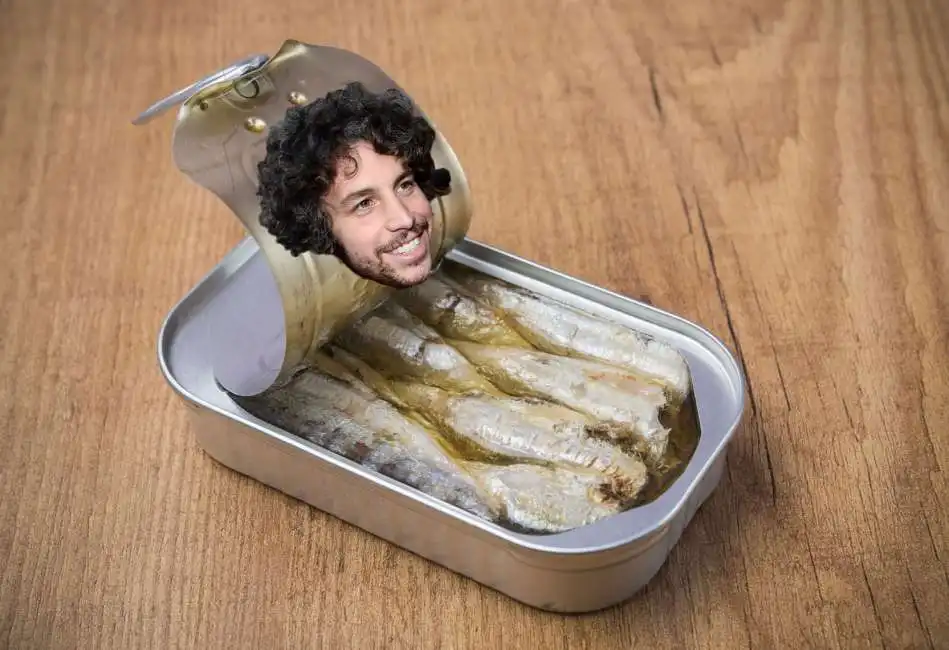 mattia santori sardine