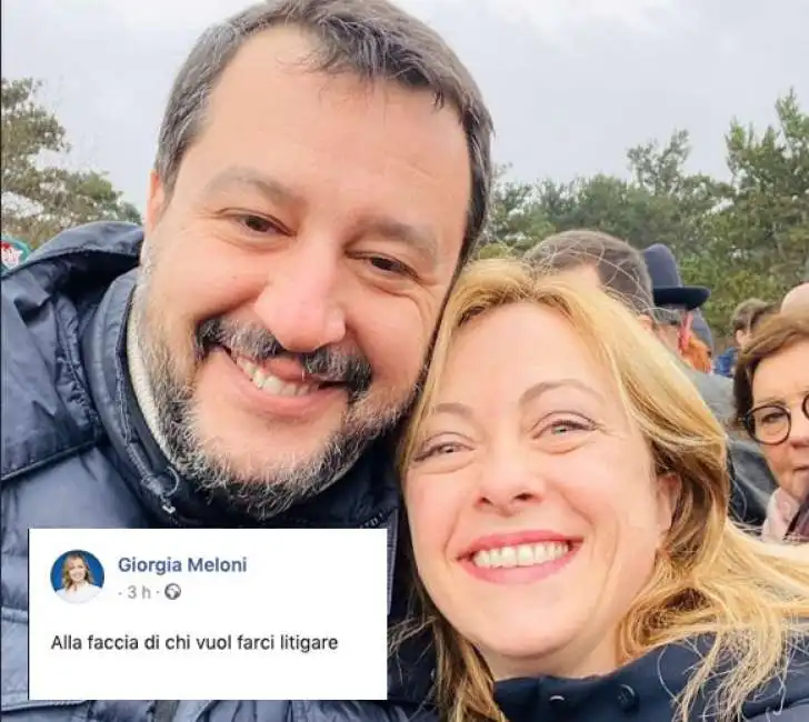 salvini meloni