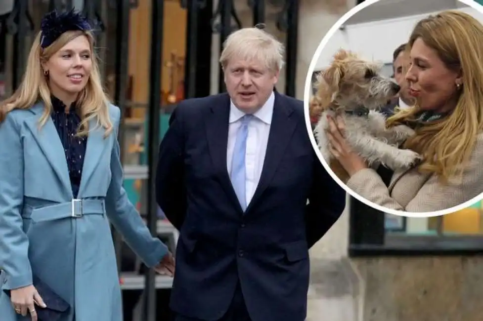 carrie symonds boris johnson e il cane dilyn