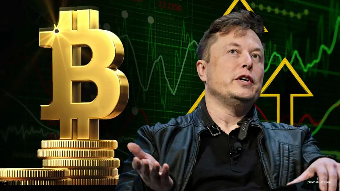 elon musk bitcoin 