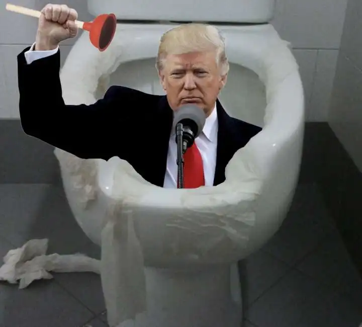 donald trump wc gabinetto 