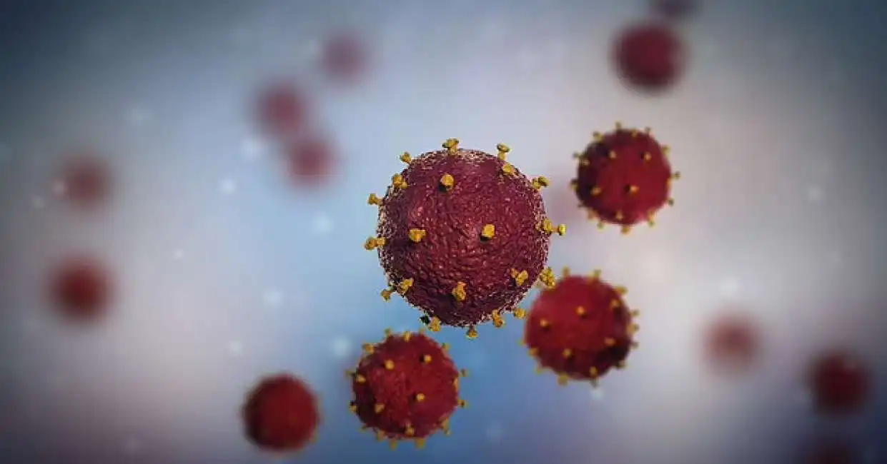 variante vb del virus hiv