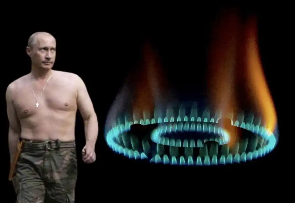 vladimir putin gas 