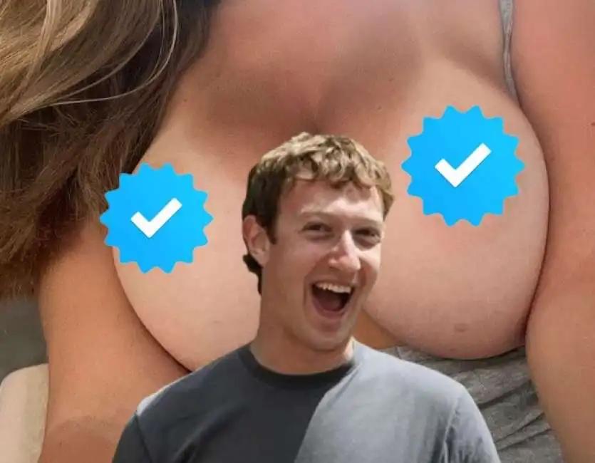 mark zuckerberg meta verified spunta blu 