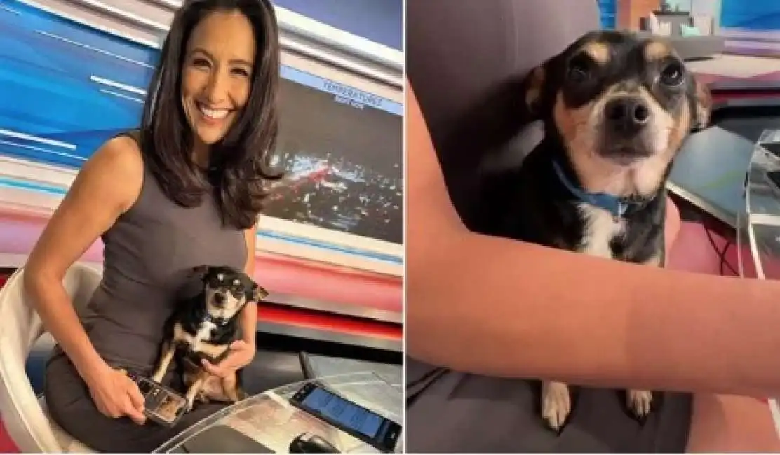 sofia ojeda e il cane durante il tg