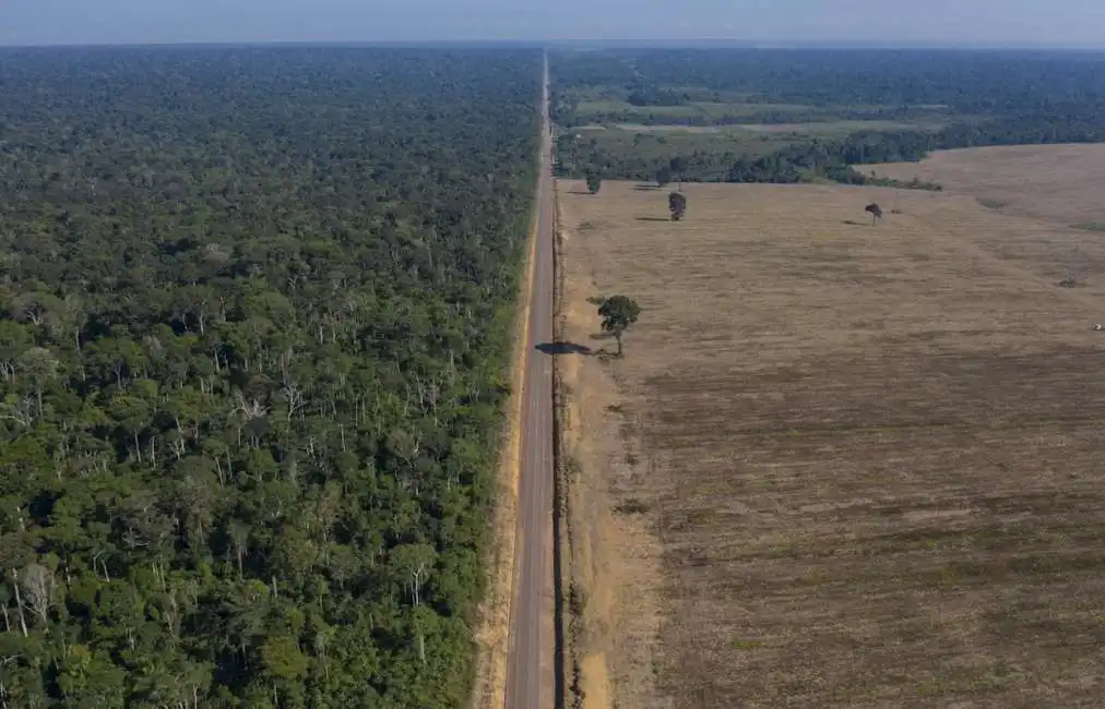 foresta amazzonica deforestazione 