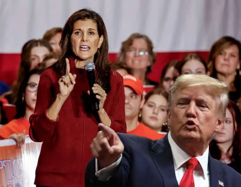 nikki haley donald trump 