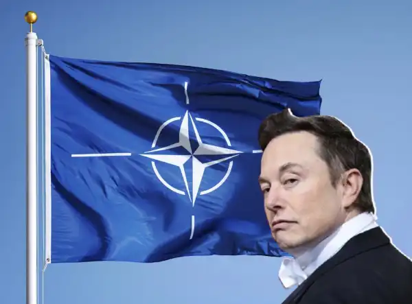 elon musk nato 