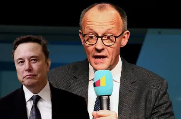 friedrich merz elon musk