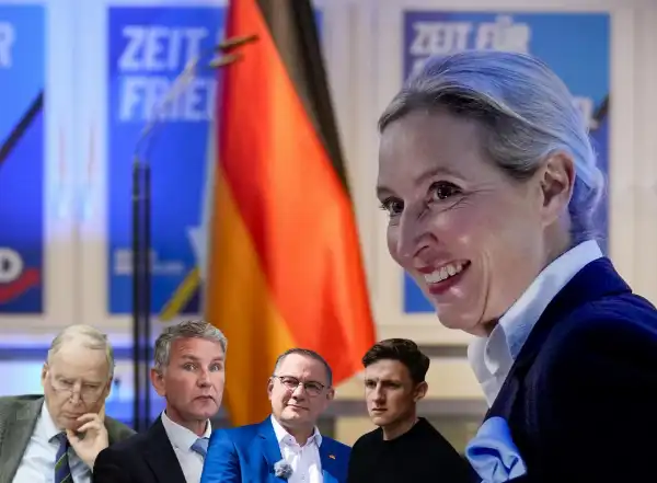 il cerchio magico di alice weidel tino chrupalla bjorn hocke - alexander gauland afd 